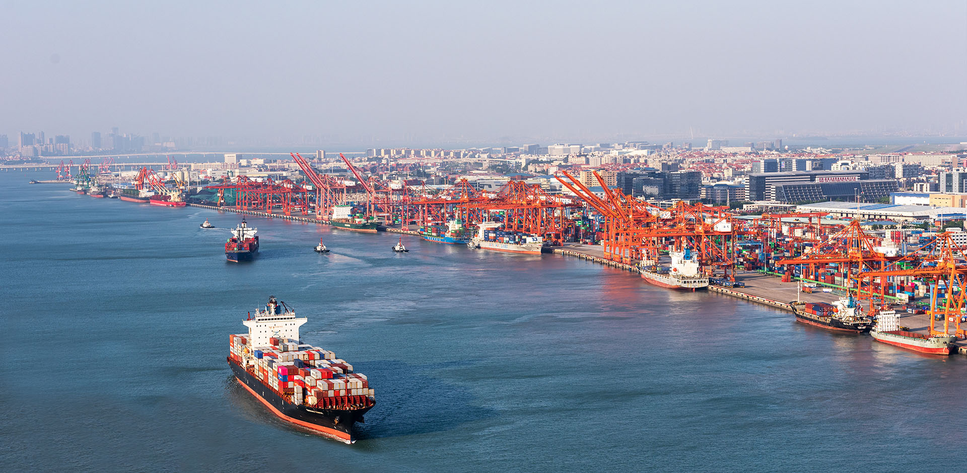 以诚信者为先 以奋斗者为本 以孝顺者为荣